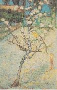 Vincent Van Gogh Flowering Pear-Tree oil on canvas